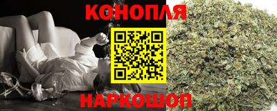 прущие грибы Балаково
