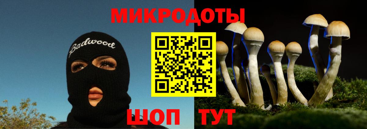 Галлюциногенные грибы Cubensis Добрянка